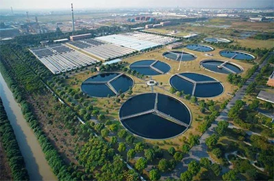 Municipal Wastewater Treatment