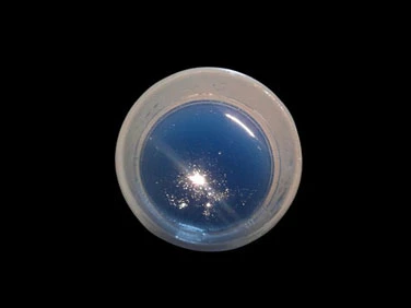 blue-clear-clarifier blue-clear-clarifier